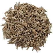 cumin seed